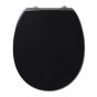 Armitage Shanks Contour 21 S405866 Standard Toilet Seat & Cover Black 5017830383338