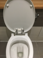 Purity K7043 Ideal Standard  Armitage Shanks Purity Toilet  Seat and Cover K704301 with all the fittings SK704301 Original Seat with Fittings