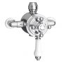 Burlington V10-2 ceramic levers for Avon & Clyde dual control valves (pair)