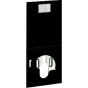 Geberit Geberit AquaClean header plate for Cistern UP300 and UP320 (black) 115.325.SG.1