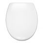 Standard-Soft-Close-Top-fix-Quick-Release-Toilet-Seat-with-Chrome-Hinges-