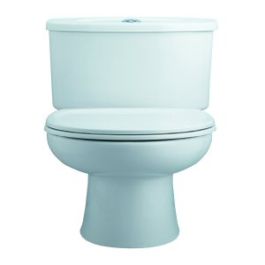 armitage shanks dual flush syphon