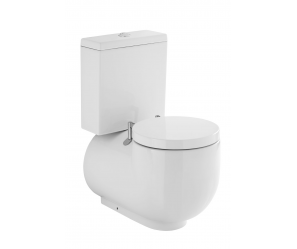 SANINDUSA WCA TOILET SEAT AND COVER WITH HINGES 21111