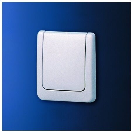 43177SH0 flush plate in white Grohe