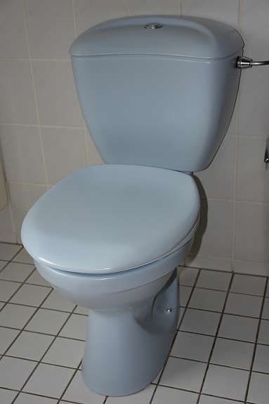 Villeroy & Boch Gran gracia Seat and Cover Villeroy & Boch Grangracia Toilet Seat 88226101