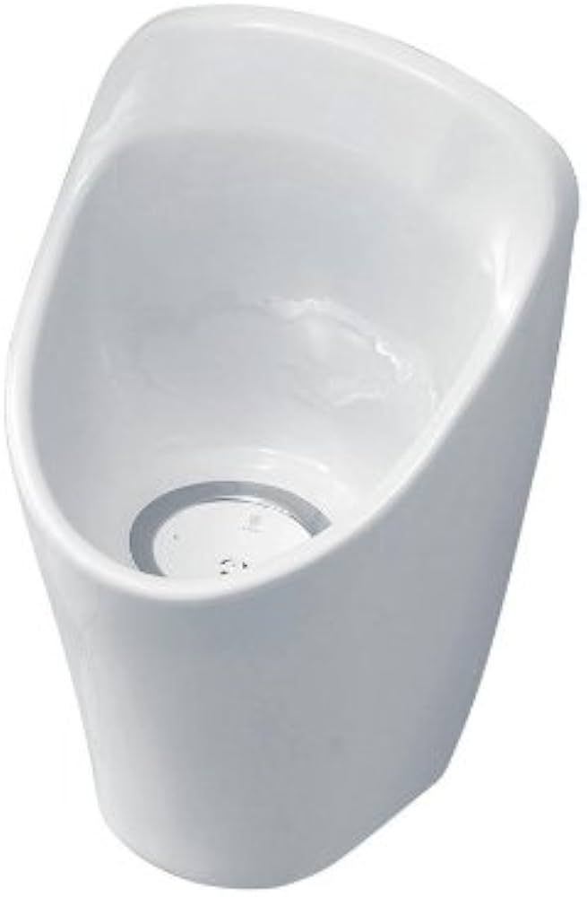 Ideal Standard Spares Aridian 62cm waterless urinal bowl with 1