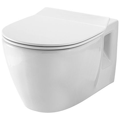 Replacement Toilet seat with soft close hinges in stainless steel with Polygien, Seat selection by measurement, OR  Find the right toilet seat using measurements