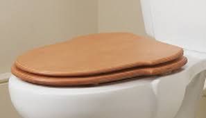 SANITANA-Grecia Toilet seat and cover Original Seat 5604173213950 Cherry colour