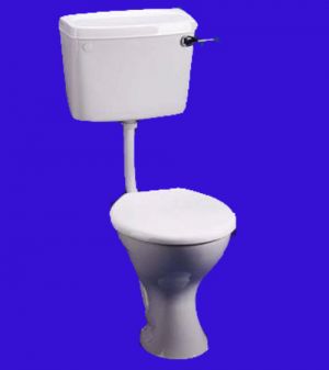 Armitage Shanks Toilet Seat Sandringham 21 Seat with  Metal Hinges  E907401
