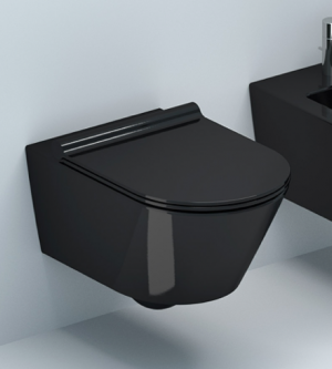 Catalano Soft-close Plus Toilet Seat and Cover 5SCSTPNS satin black