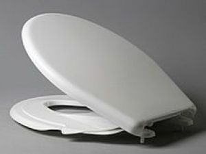 Haro Baby Comfort Thermoplast Toilet Seat and Cover