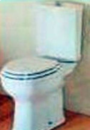 SANITANA-Granada Toilet Seat and cover