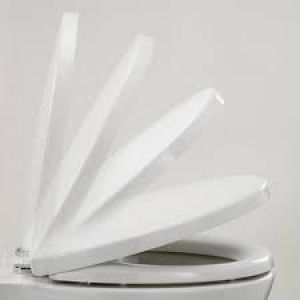 Toilet Seat and Cover Armitage Shanks replacement  Lichfield Toilet seat S4045 Code under Toilet cistern lid H/M 1781