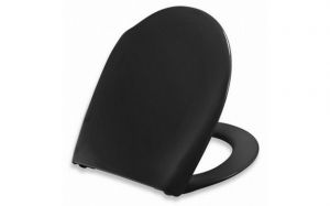 Toilet seat with hinge in stainless steel, soft close and lift-off Black