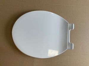 UNIVERSAL PLASTIC TOILET SEAT AND COVER WITH PLASTIC HINGES 